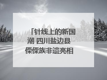 针线上的新国潮 四川盐边县傈僳族非遗亮相西博会｜图集