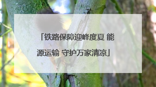 铁路保障迎峰度夏 能源运输 守护万家清凉