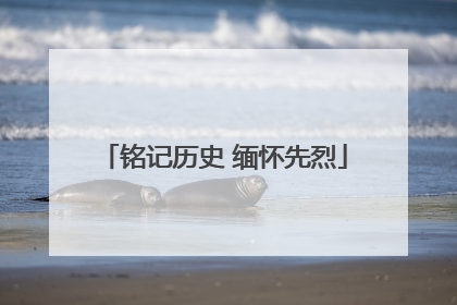 铭记历史 缅怀先烈