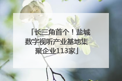 长三角首个！盐城数字视听产业基地集聚企业113家