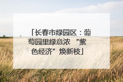 长春市绿园区：葡萄园里绿意浓 “紫色经济”焕新枝