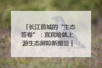 长江首城的“生态答卷”：宜宾绘就上游生态屏障新图景｜中华环保世纪行