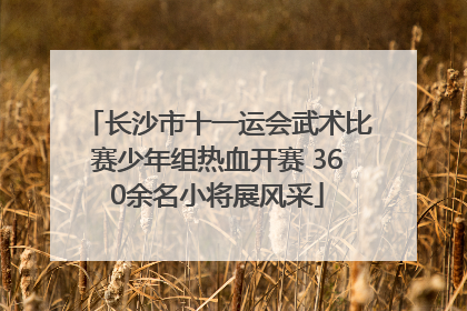 长沙市十一运会武术比赛少年组热血开赛 360余名小将展风采