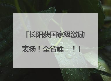 长阳获国家级激励表扬！全省唯一！