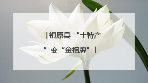 镇原县 “土特产”变“金招牌”
