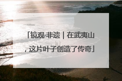 镜观·非遗｜在武夷山，这片叶子创造了传奇