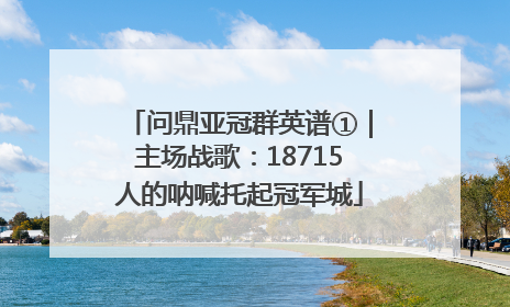 问鼎亚冠群英谱①｜主场战歌：18715人的呐喊托起冠军城