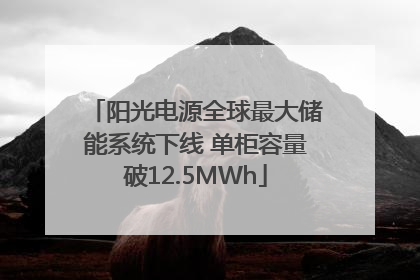 阳光电源全球最大储能系统下线 单柜容量破12.5MWh