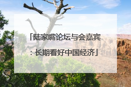 陆家嘴论坛与会嘉宾：长期看好中国经济