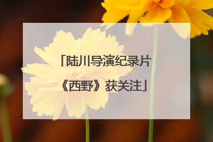 陆川导演纪录片《西野》获关注