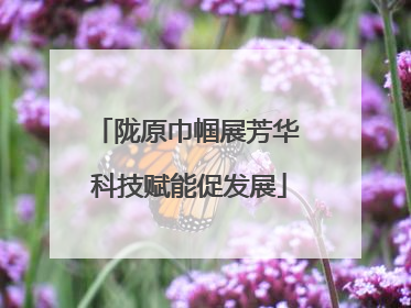陇原巾帼展芳华 科技赋能促发展