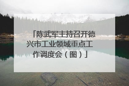 陈武军主持召开德兴市工业领域重点工作调度会（图）