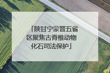 陕甘宁蒙晋五省区聚焦古脊椎动物化石司法保护