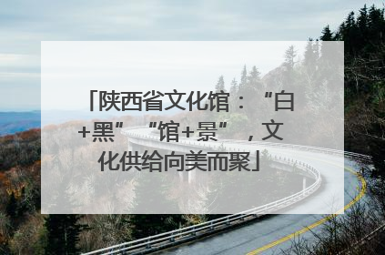 陕西省文化馆：“白+黑”“馆+景”，文化供给向美而聚