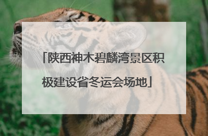陕西神木碧麟湾景区积极建设省冬运会场地