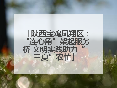 陕西宝鸡凤翔区：“连心角”架起服务桥 文明实践助力“三夏”农忙
