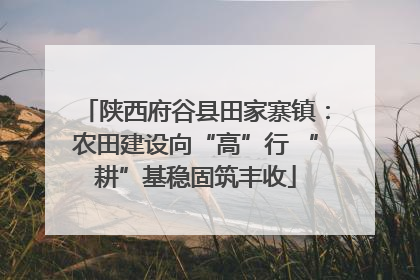 陕西府谷县田家寨镇：农田建设向“高”行 “耕”基稳固筑丰收
