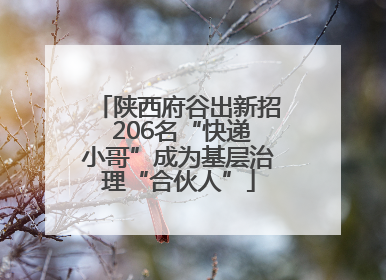 陕西府谷出新招 206名“快递小哥”成为基层治理“合伙人”
