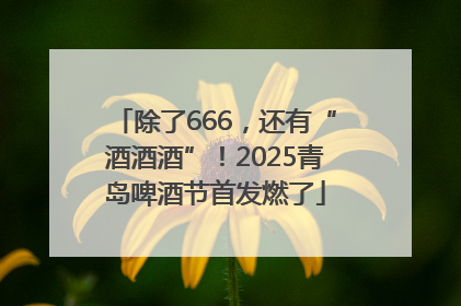 除了666，还有“酒酒酒”！2025青岛啤酒节首发燃了
