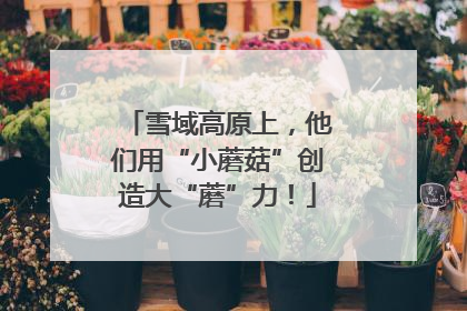 雪域高原上，他们用“小蘑菇”创造大“蘑”力！