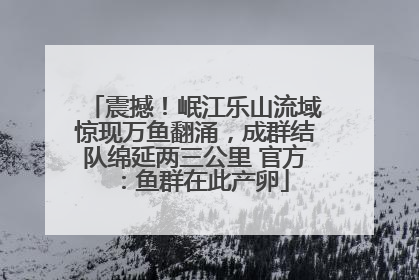 震撼！岷江乐山流域惊现万鱼翻涌，成群结队绵延两三公里 官方：鱼群在此产卵
