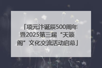 项元汴诞辰500周年暨2025第三届“天籁阁”文化交流活动启幕