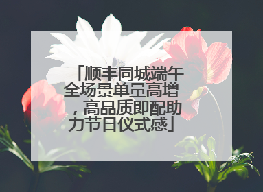 顺丰同城端午全场景单量高增，高品质即配助力节日仪式感