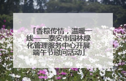 香粽传情，温暖一线——泰安市园林绿化管理服务中心开展端午节慰问活动