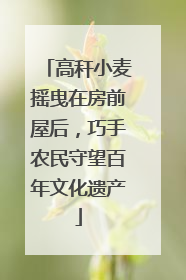 高秆小麦摇曳在房前屋后，巧手农民守望百年文化遗产