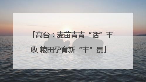 高台：麦苗青青“话”丰收 粮田孕育新“丰”景
