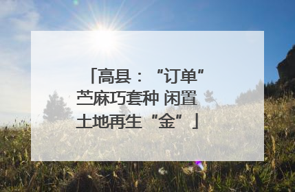 高县：“订单”苎麻巧套种 闲置土地再生“金”
