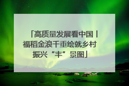 高质量发展看中国丨福稻金浪千重绘就乡村振兴“丰”景图