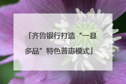 齐鲁银行打造“一县多品”特色普惠模式