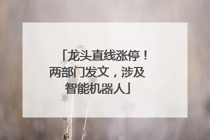 龙头直线涨停！两部门发文，涉及智能机器人