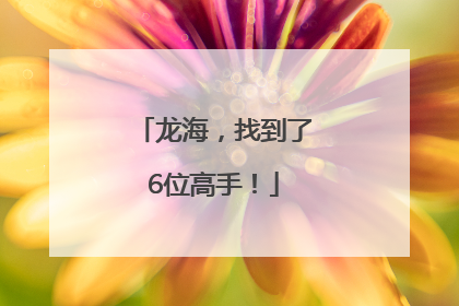 龙海，找到了6位高手！