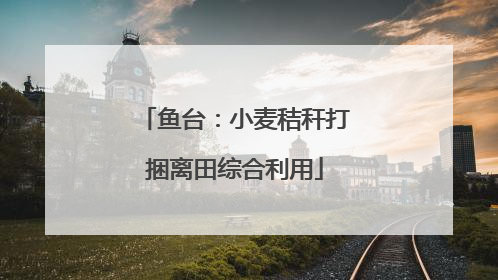 鱼台：小麦秸秆打捆离田综合利用