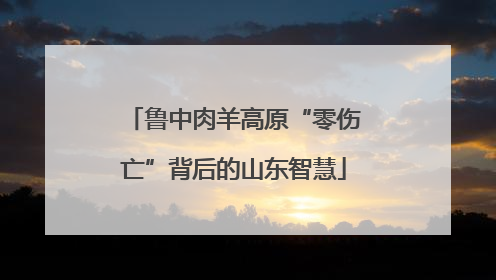 鲁中肉羊高原“零伤亡”背后的山东智慧