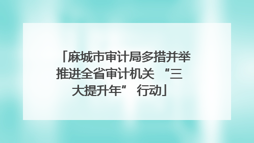 麻城市审计局多措并举推进全省审计机关 “三大提升年” 行动