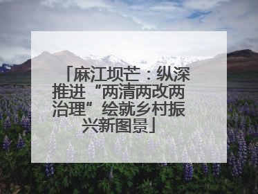麻江坝芒：纵深推进“两清两改两治理”绘就乡村振兴新图景