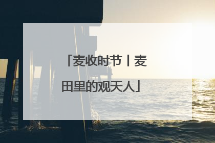 麦收时节丨麦田里的观天人