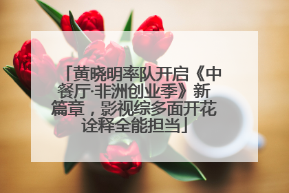 黄晓明率队开启《中餐厅·非洲创业季》新篇章，影视综多面开花诠释全能担当