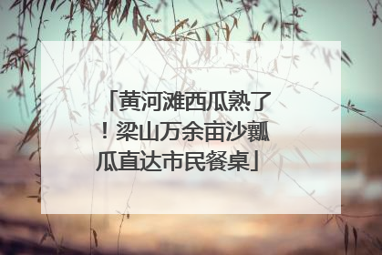 黄河滩西瓜熟了！梁山万余亩沙瓤瓜直达市民餐桌