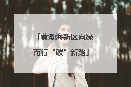 黄渤海新区向绿而行“碳”新路