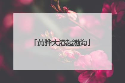 黄骅大港起渤海