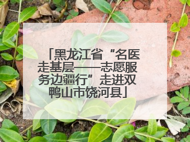 黑龙江省“名医走基层——志愿服务边疆行”走进双鸭山市饶河县