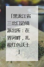 黑龙江省三岔口边境派出所：在界河畔，扎根红色沃土
