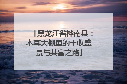 黑龙江省桦南县：木耳大棚里的丰收盛景与共富之路