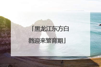 黑龙江东方白鹳迎来繁育期
