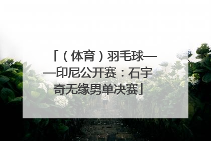 （体育）羽毛球——印尼公开赛：石宇奇无缘男单决赛