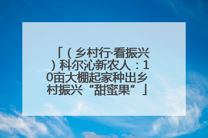 （乡村行·看振兴）科尔沁新农人：10亩大棚起家种出乡村振兴“甜蜜果”